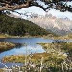 Actividades Hostel Antarctica Ushuaia 2 Tierra Del Fuego