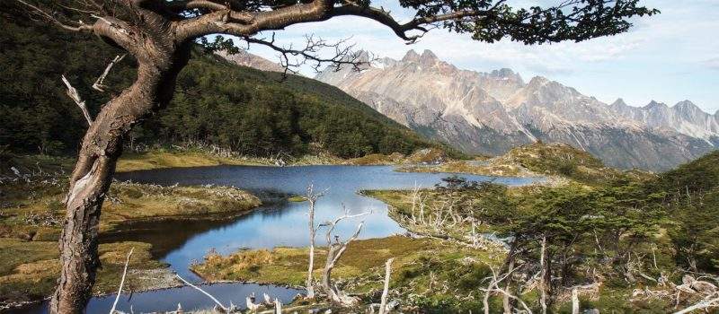 Actividades Hostel Antarctica Ushuaia 2 Tierra Del Fuego