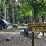 Carpas