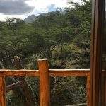 Vista