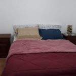 Cama angelita temporario