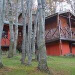 Confort tierra fuego