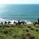 Alquiler Casa Bahía Torito