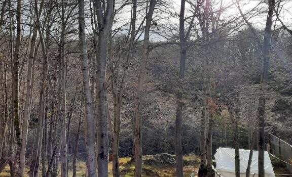 Disponibilidad Cabana Los Morros Ushuaia Tierra Del Fuego