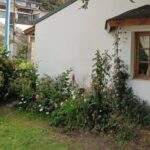 Alquiler Casa Towwora