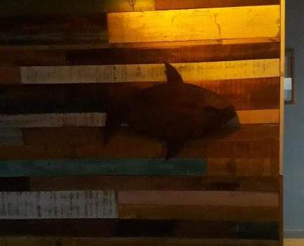 Habitaciones Alquiler Buena Vista Ushuaia Tierra Del Fuego