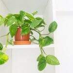 Horarios tierra fuego