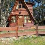 Alquiler Departamento Del Andino