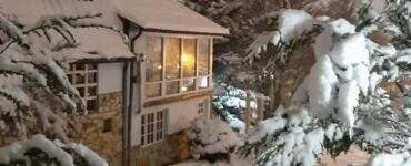Alquiler Departamento Del Bosque 487 Alquiler Departamento Del Bosque 487