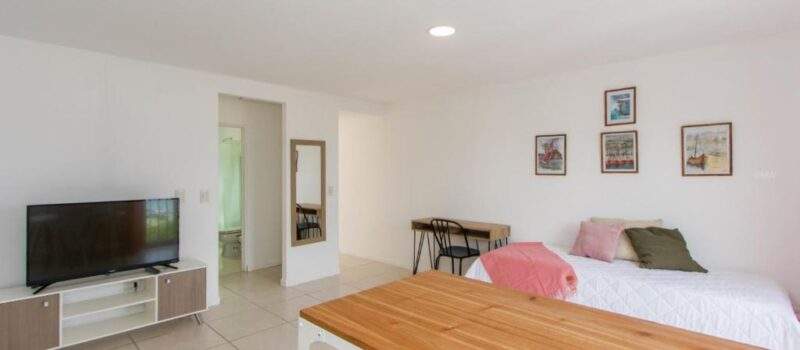 Salida Alquiler Gray Fox Ushuaia Tierra Del Fuego