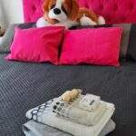 Temporal tierra fuego