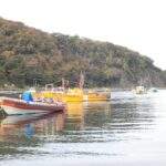 Vacaciones linda ernesto m campos