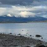 Disponibilidad tierra fuego