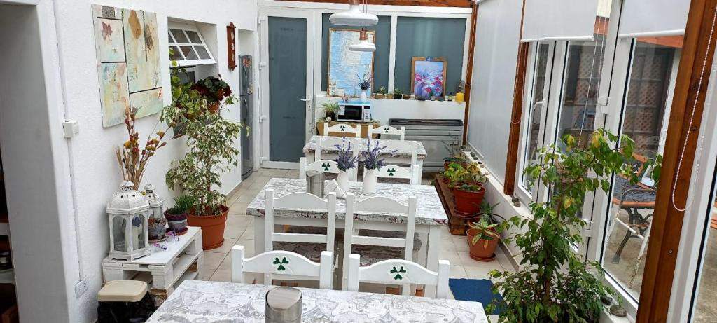 Playa Alquiler Departamento Isla Bella Ushuaia Tierra Del Fuego