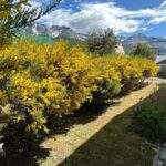 Quincena Alquiler 1962 Del Monte Ushuaia Tierra Fuego