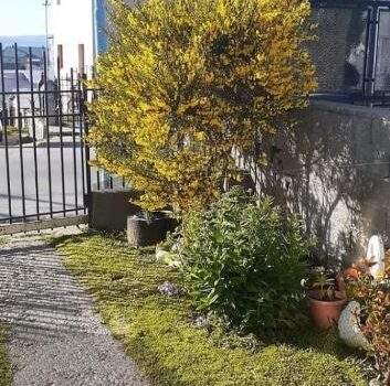 Renta Alquiler Kowyi Ushuaia Tierra Del Fuego