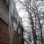 Alquiler Monoambiente Nino